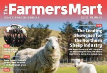 APR-MAY 2019 – ISSUE 62