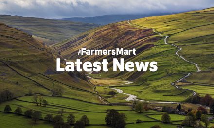 BBC focuses on farming