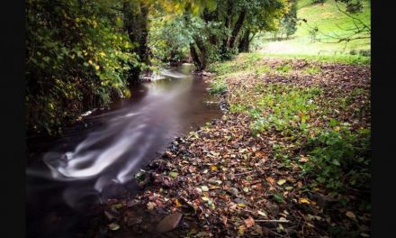 Farmers urged to check farm management plans in the face of increased environmental concerns