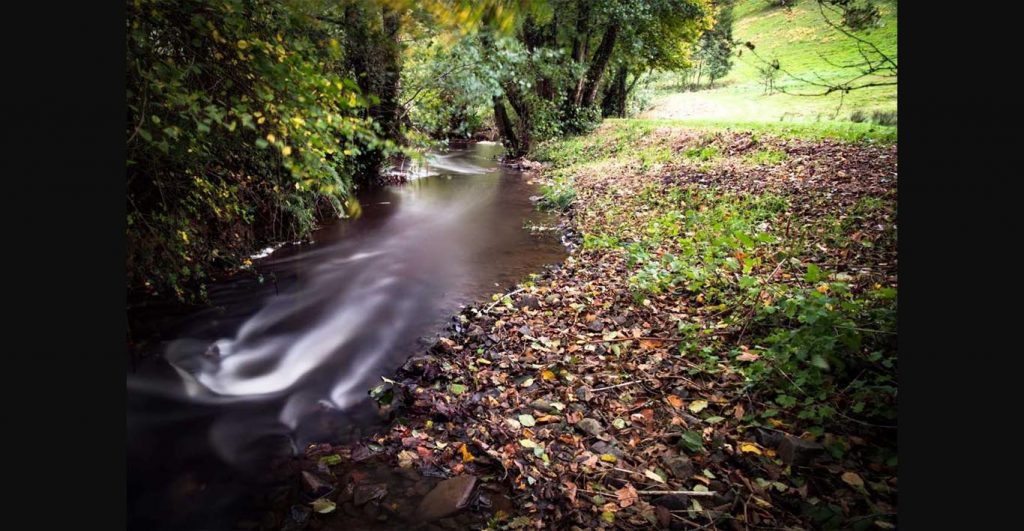 Farmers urged to check farm management plans in the face of increased environmental concerns