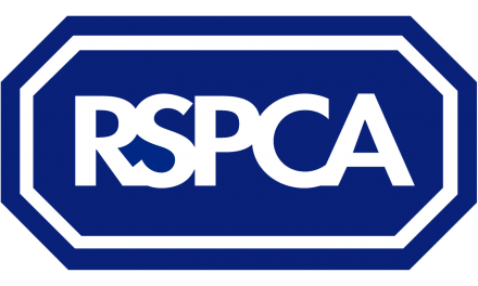 New RSPCA poll reveals 75% want ban on lower welfare standard imports