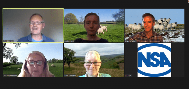 Sheep farmers encouraged to update their nutritional knowledge with NSA webinars