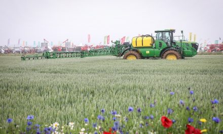 Cereals offers early bird tickets for free