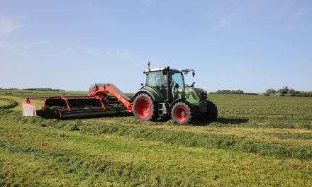Multi-cut silage could help dairy farms weather the effects of drought