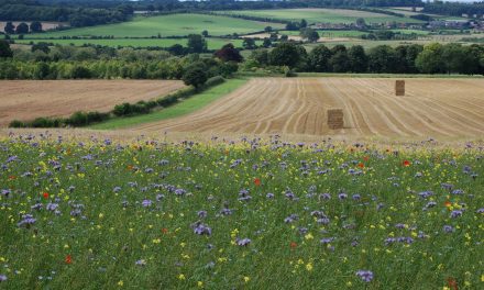 New survey looking for your thoughts on agri-environmental schemes