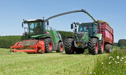 Dry and cold weather hampers early first cut silage