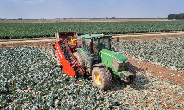 Grimme UK to Exhibit New Cabbage Harvester at Fields of Innovation