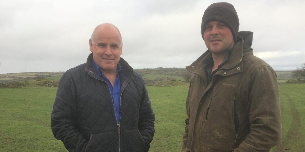 Trace elements key to improved lamb vigour