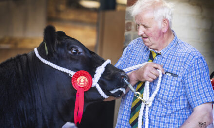 Experts From Three Home Nations To Judge Agri Expo Breed Society Shows