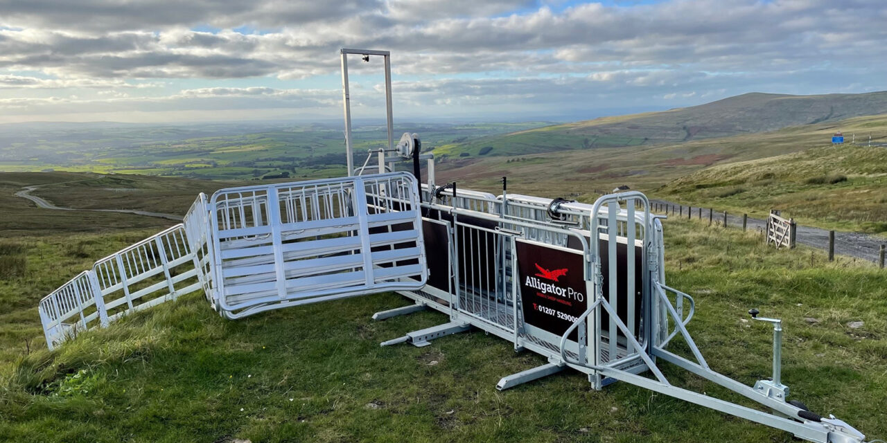 New Alligator bites into the price of mobile sheep handling