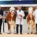 7200GNS Grangewood New Hope Tops Solid Simmental Sale at Carlisle