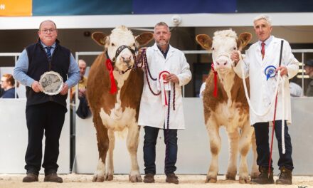 7200GNS Grangewood New Hope Tops Solid Simmental Sale at Carlisle