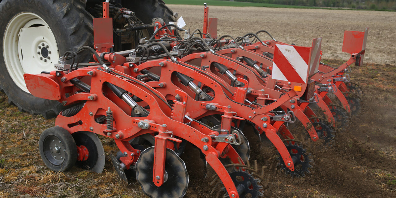 Targeted cultivations focus for Groundswell 2024