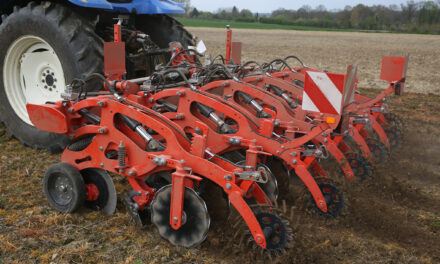 Targeted cultivations focus for Groundswell 2024