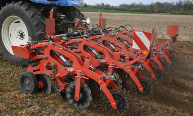 Targeted cultivations focus for Groundswell 2024